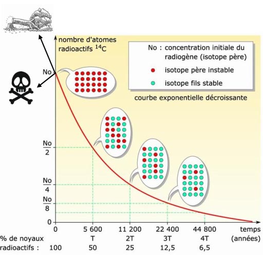 courbe de désintégration du Carbone 14