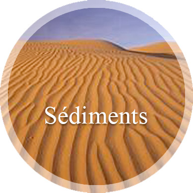 sediments